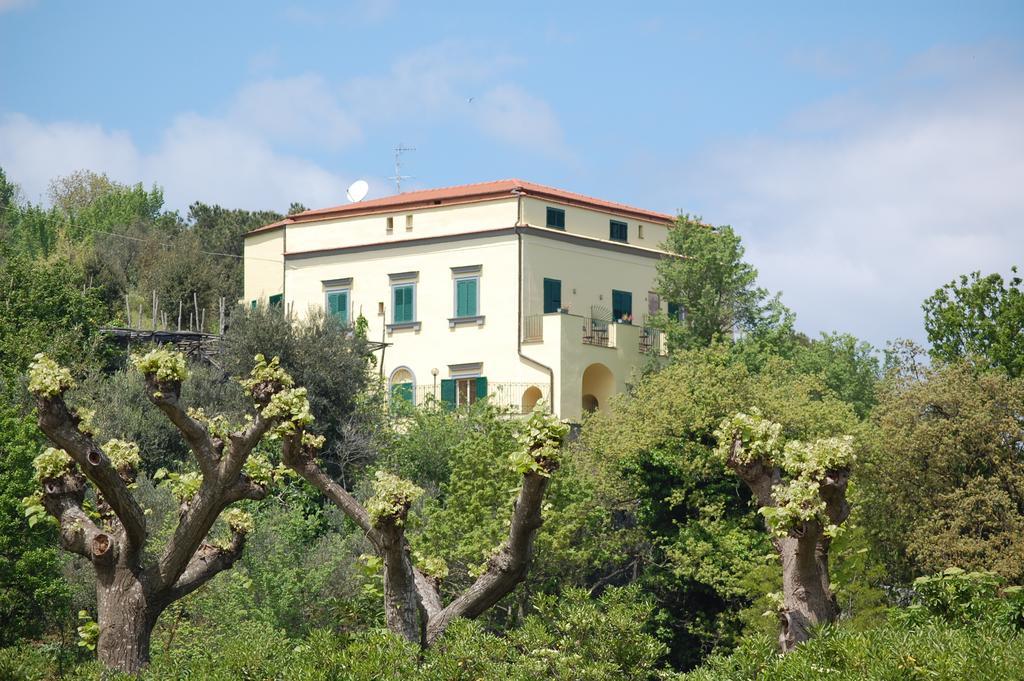 Villa Romita SantʼAgata sui Due Golfi Eksteriør bilde